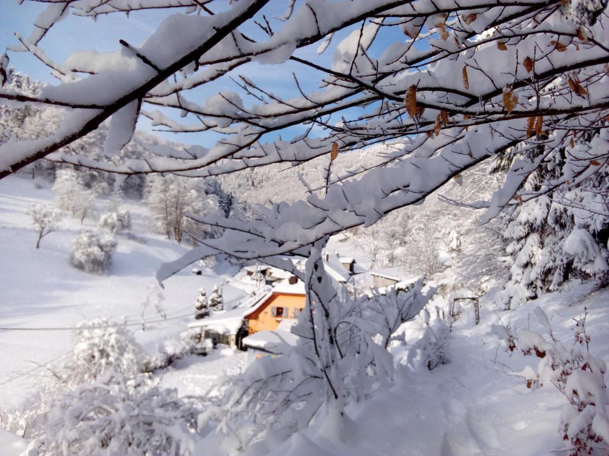 Abri De Jardin Amenage, Chambre Camping Glamour Ξενοδοχείο Lalaye Εξωτερικό φωτογραφία